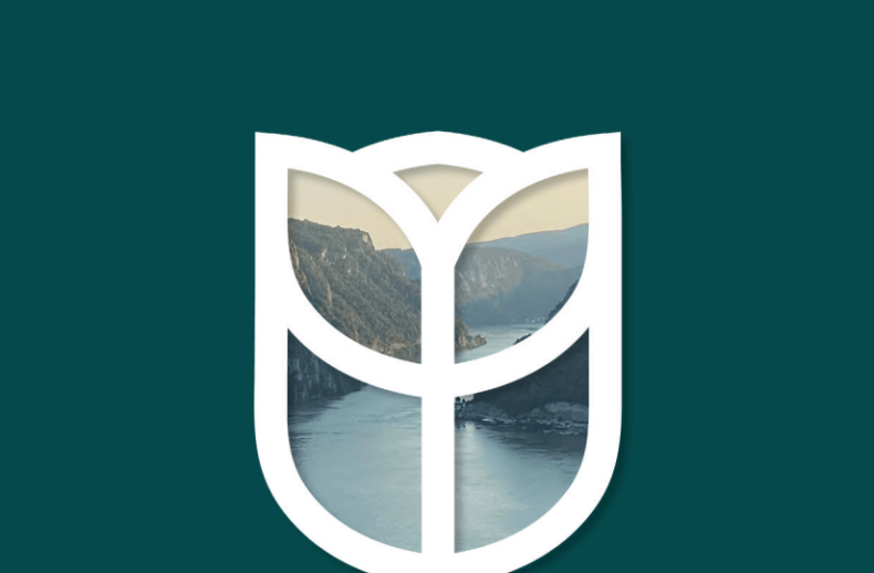 Annual-Report-2021